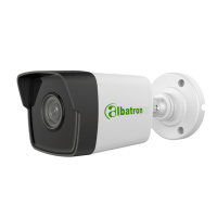 دوربین AC-BH4620-SL بالت ۲مگاپیکسل دید در شب رنگی (STAR LIGHT) آلباترون