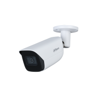 دوربین مداربسته داهوا مدل DH-IPC-HFW1230T1P-ZS